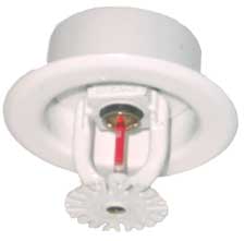 Reliable Glass Bulb Pendent White