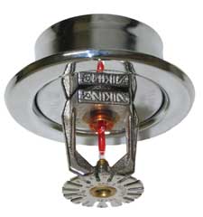 Viking Glass Bulb Pendent Chrome